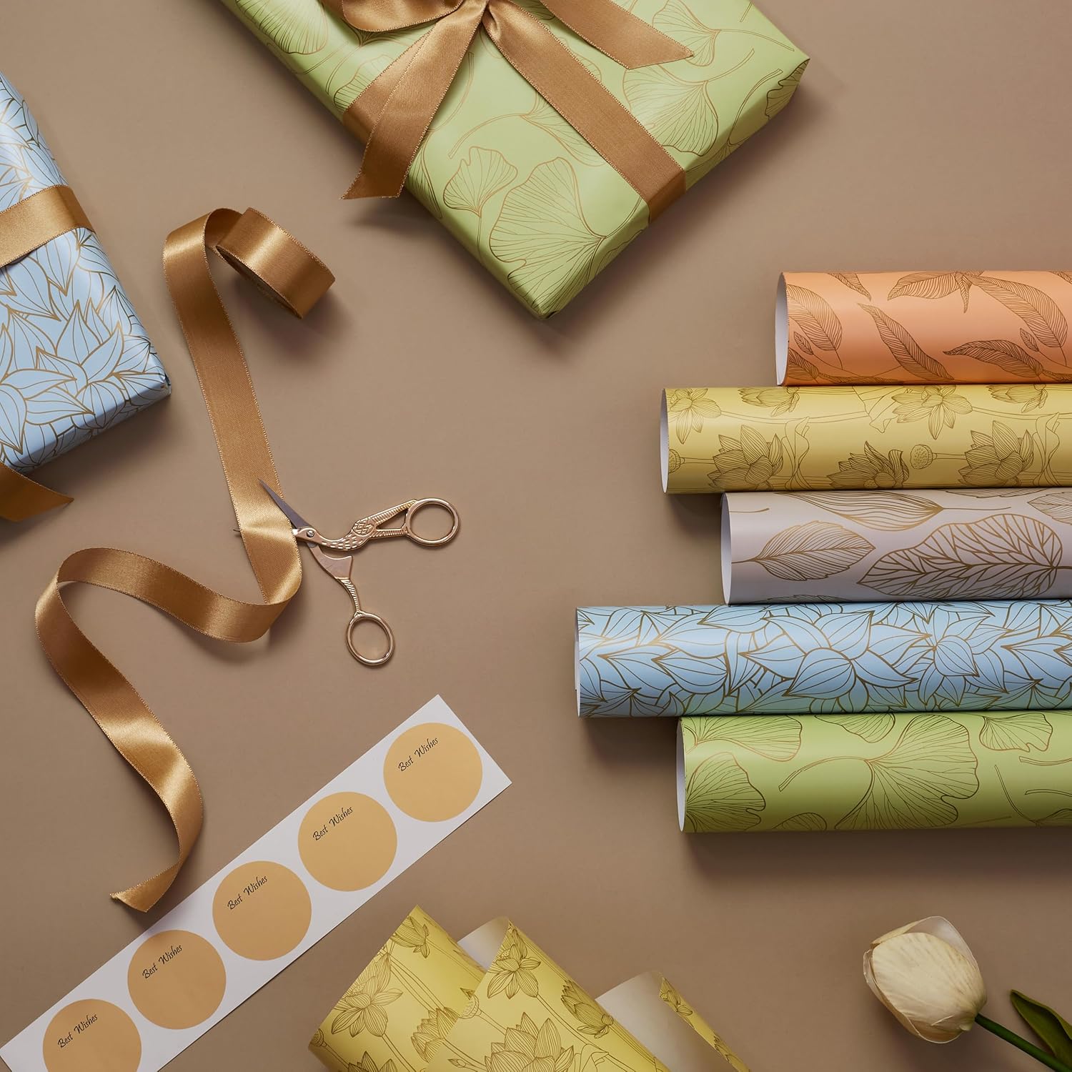 Latest Trends in Wrapping Materials